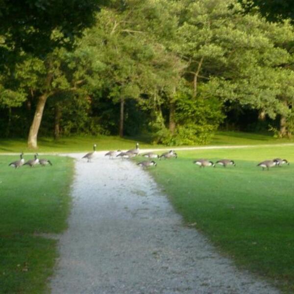Camping Ambach am See