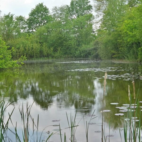 Campingpark Hof Freitag - Geestequelle