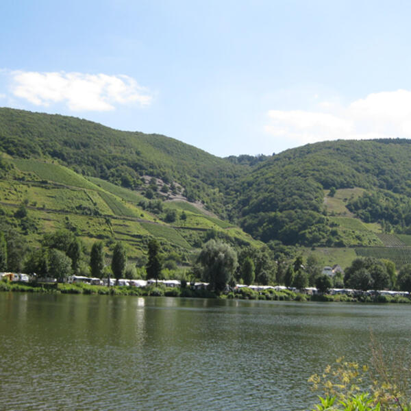 Camping Holländischer Hof