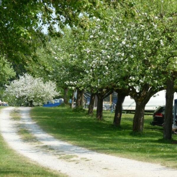 Waldcamping Hüttenhof