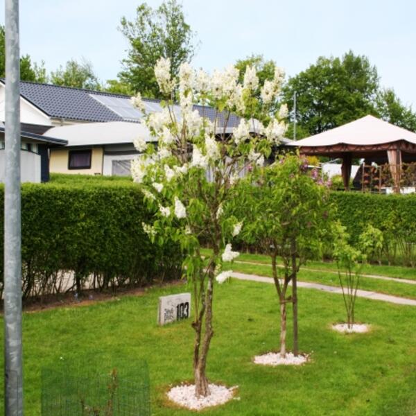 3 Sterne Campingplatz Idyll