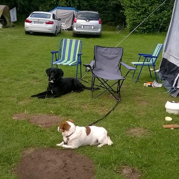 Campingplatz Koralle