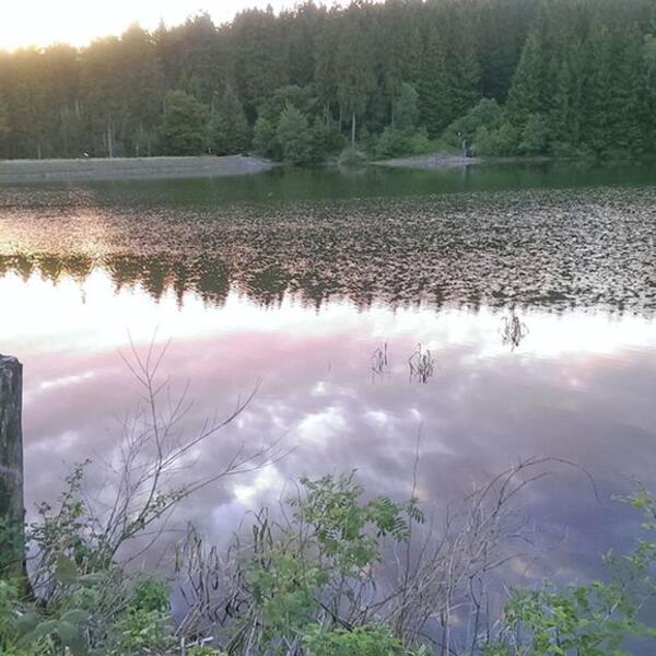 Campingplatz Kreuzeck