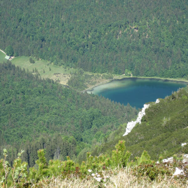 Camping Lindlbauer
