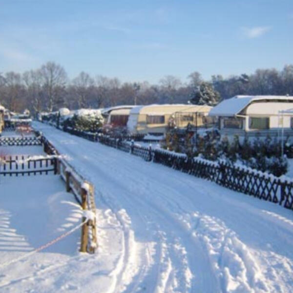 Campingplatz Losheide