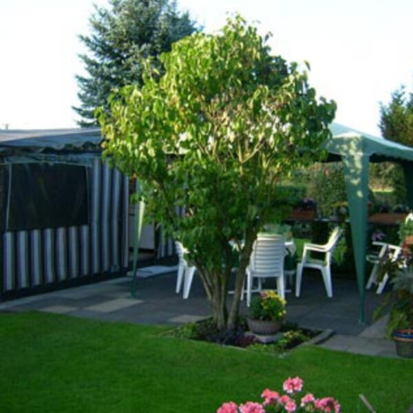 Campingplatz Losheide