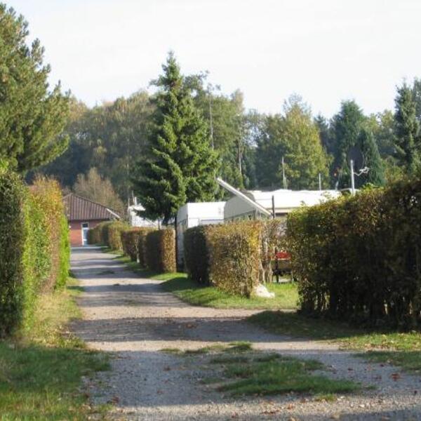 Campingplatz Ludbrock - Naturpark Hohe Mark