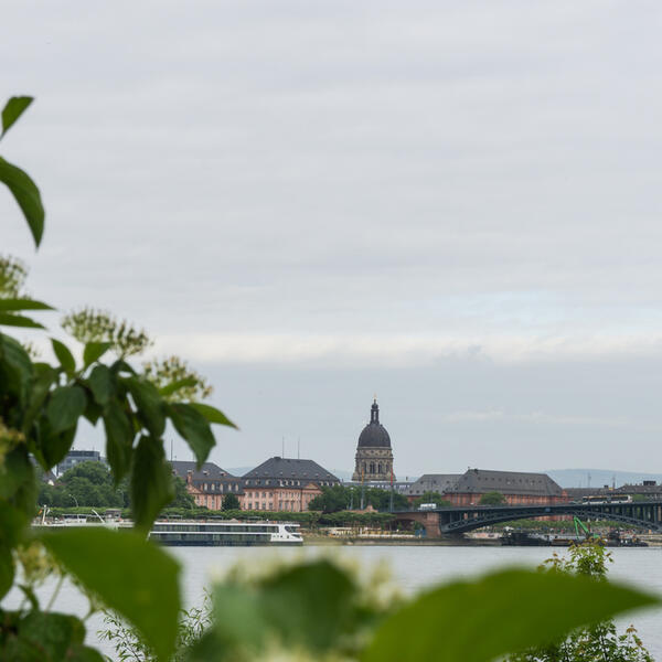 Campingplatz Maaraue