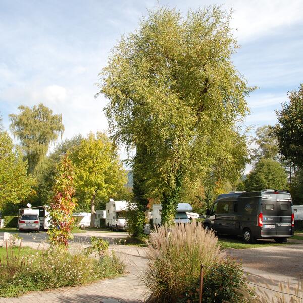 Camping- & Gästezimmer am Möslepark