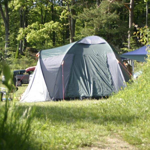 Campingplatz Moritz Hütte