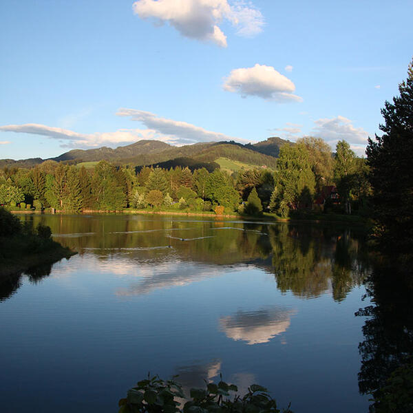 Camping Murinsel