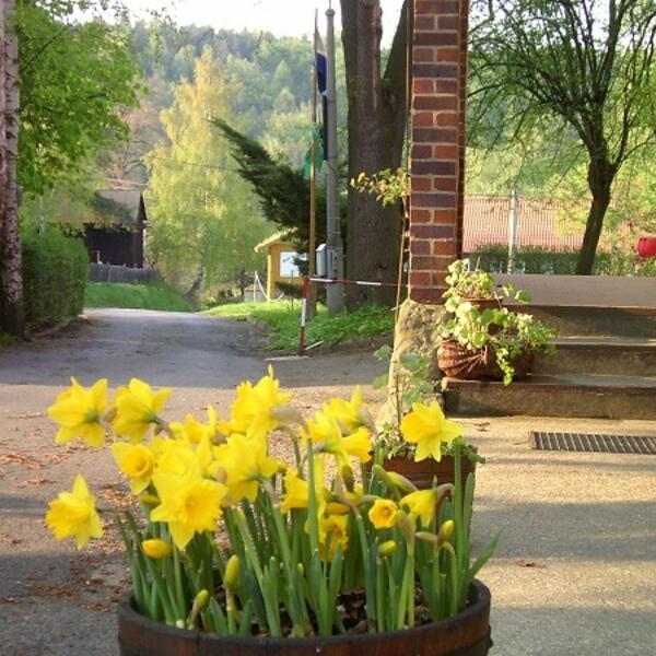 Campingplatz Nikolsdorfer Berg