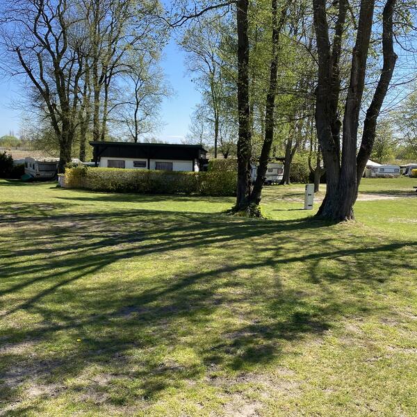 Campingplatz am Oderstrom