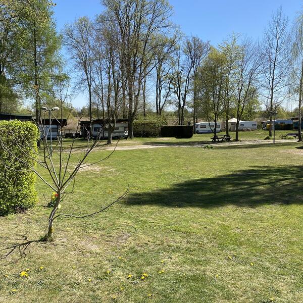 Campingplatz am Oderstrom