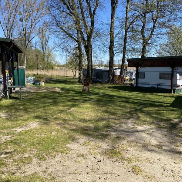 Campingplatz am Oderstrom