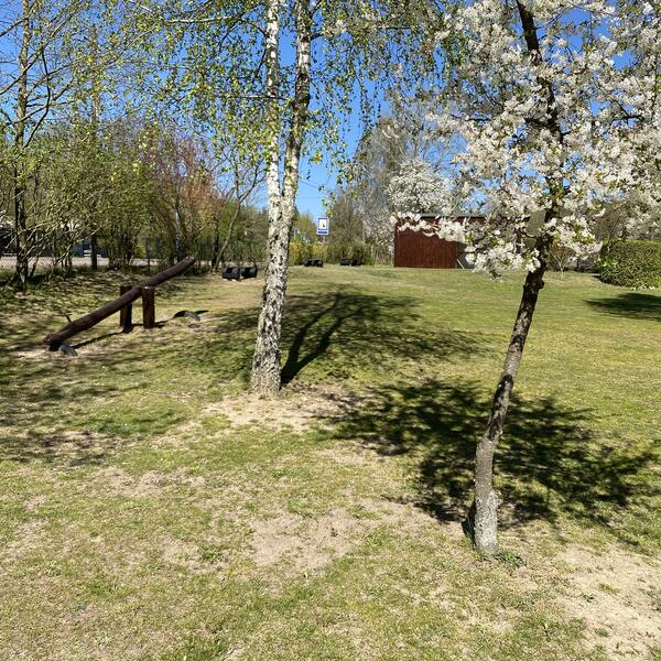 Campingplatz am Oderstrom