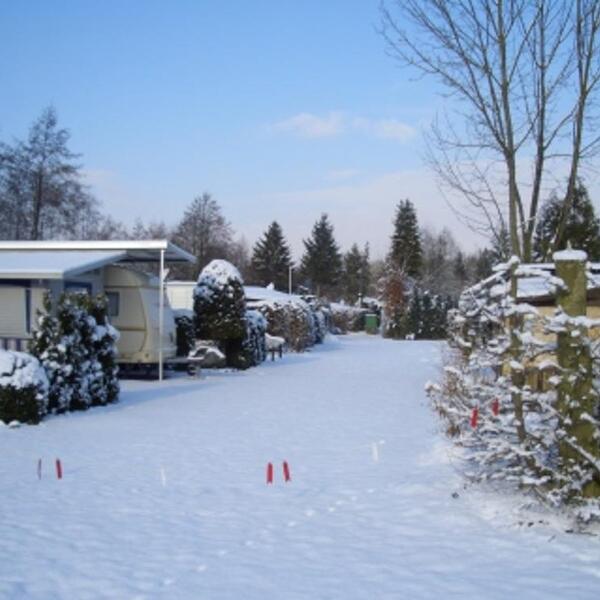 Campingplatz Osterwald