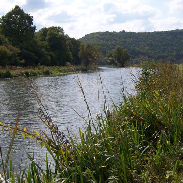 Natur Camping Pappenheim
