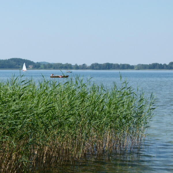 Naturcampingplatz Parsteiner-See