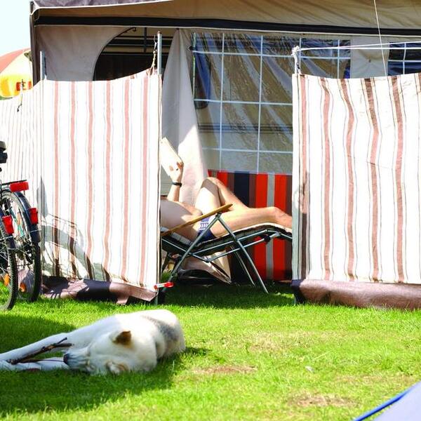 Campingplatz Silbermöwe