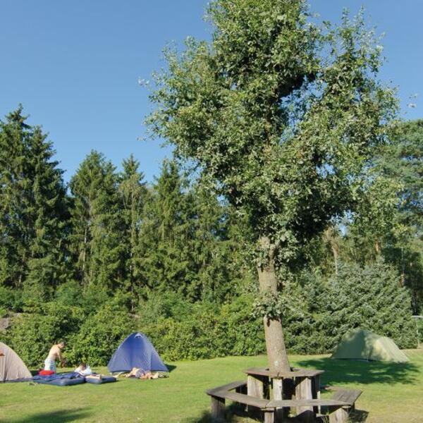 Campingplatz "Auf dem Simpel"
