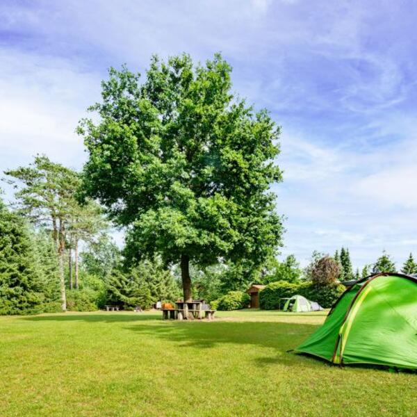 Campingplatz "Auf dem Simpel"