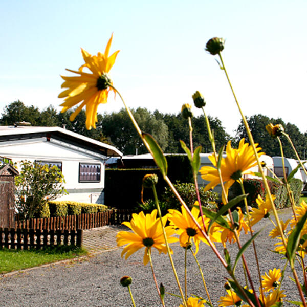 Campingplatz Sonnenberg  Luckau
