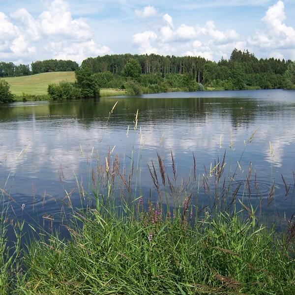 Campingplatz Sonneneck