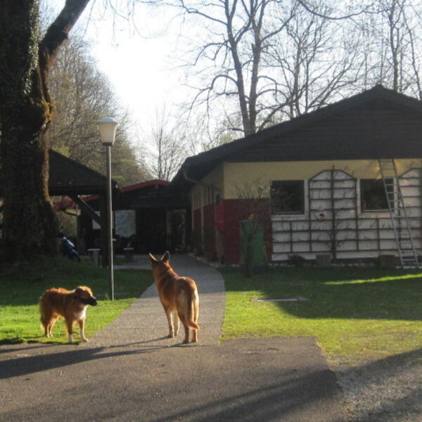 Campingplatz Staufeneck