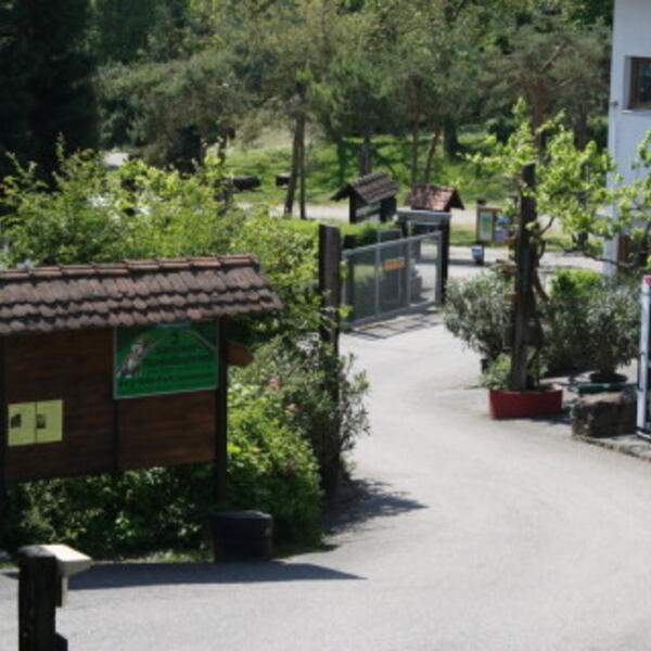 Terrassen-Campingplatz