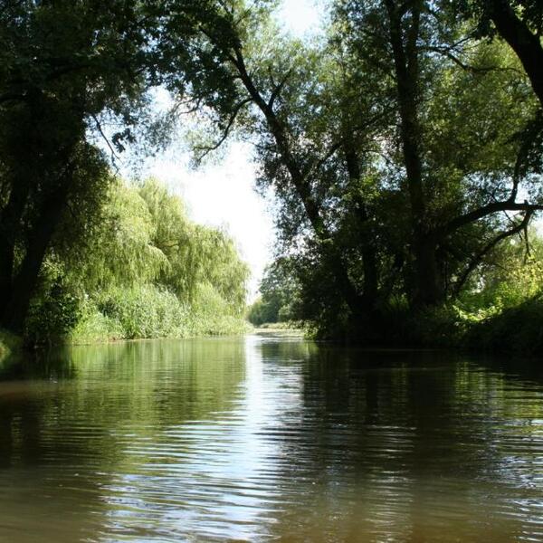 Ferienparadies Waldidylle Camping