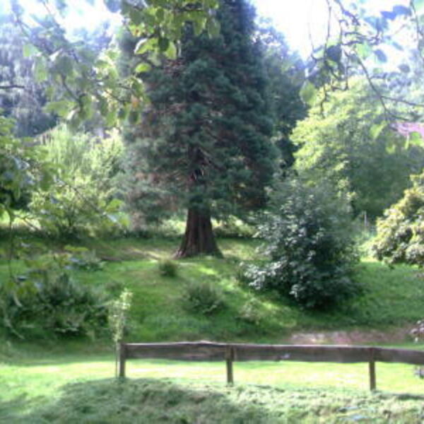 Campingplatz Wappenschmiede