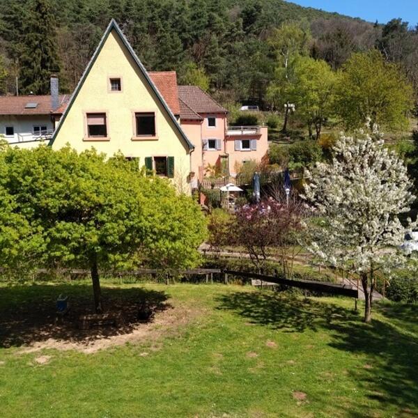 Campingplatz Wappenschmiede