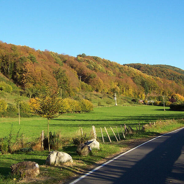 Camping Wiedhof