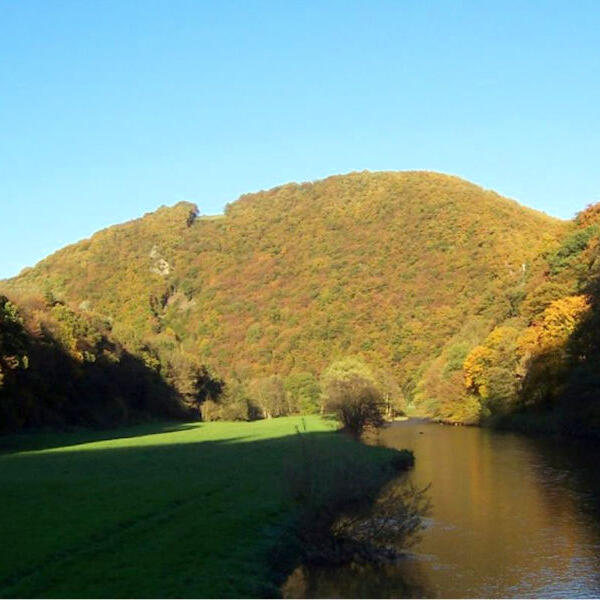 Camping Wiedhof