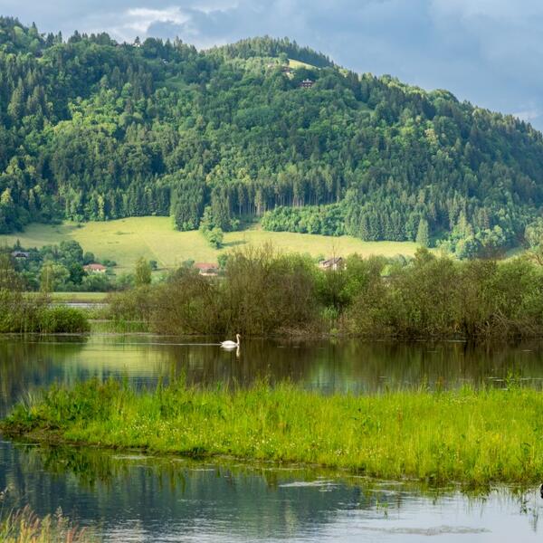 Camping Kalkgruber