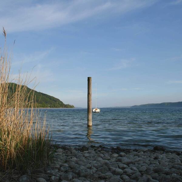 Campinggarten Wahlwies