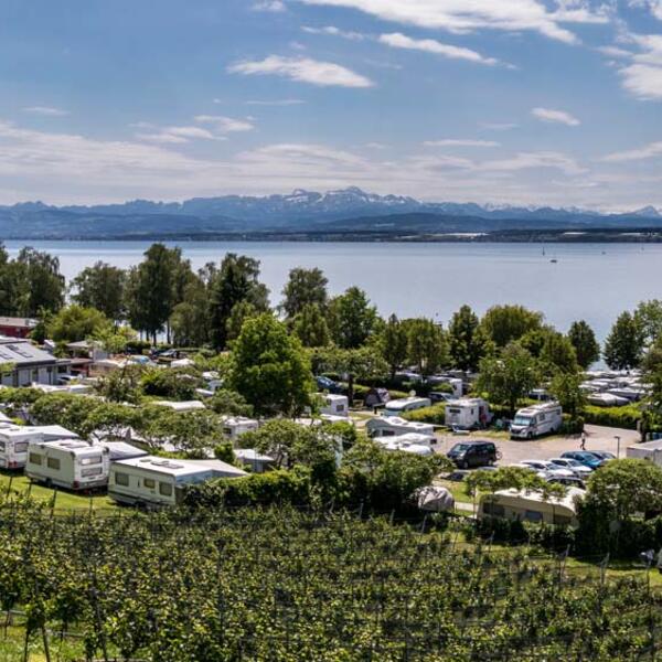 Campingplatz Alpenblick
