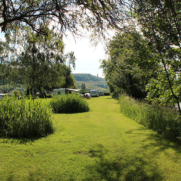 Wohnmobilstellplatz/ Camping Cimbria