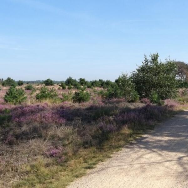 Camping de Peel 