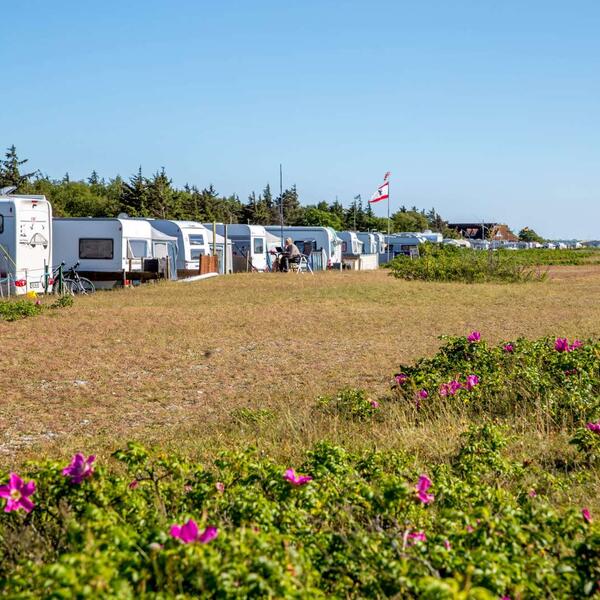 Camping Flügger Strand 