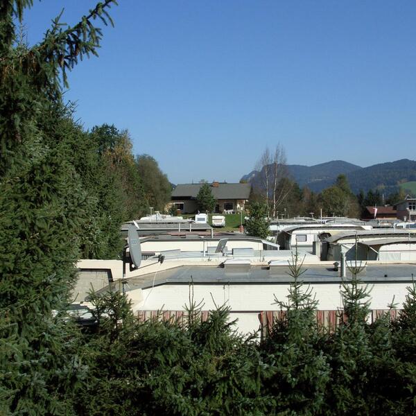 Forellencamp
