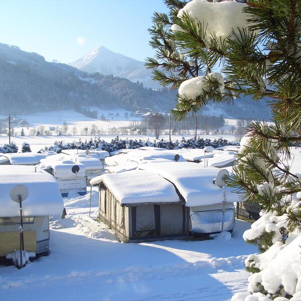 Forellencamp