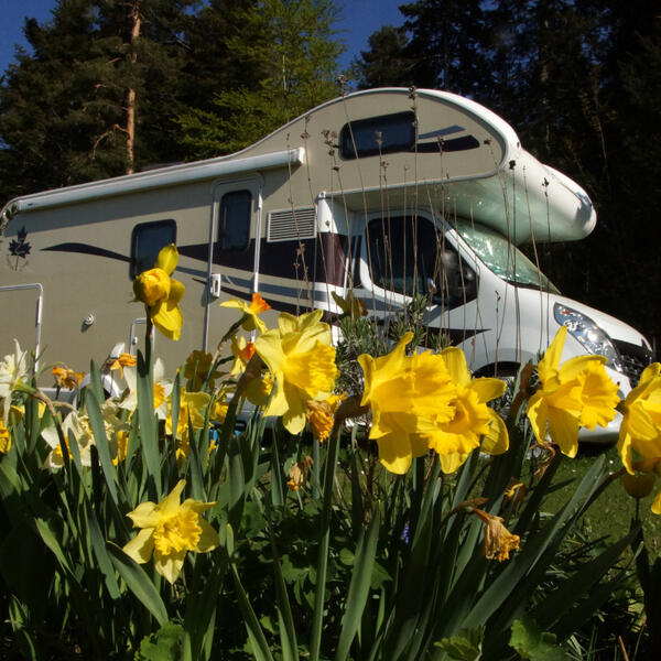 HÖHEN-CAMPING LANGENBRAND