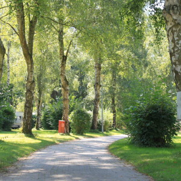Naturcamping Braunsbach