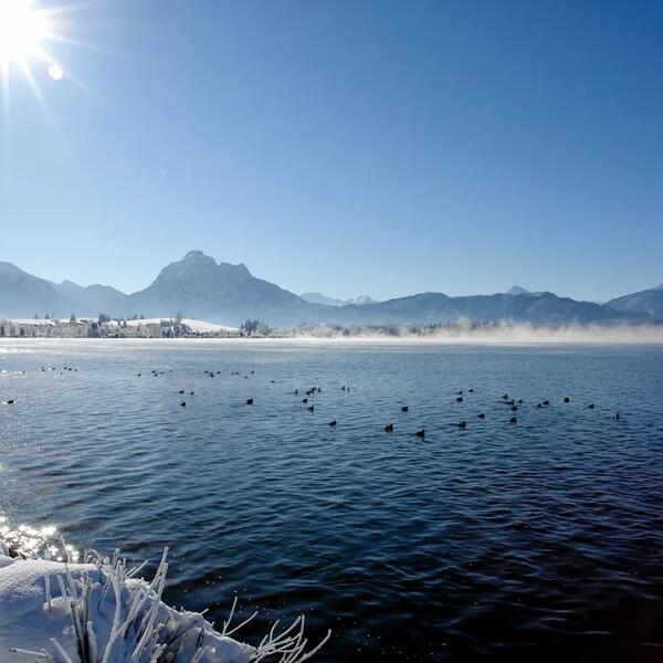 Camping Hopfensee 