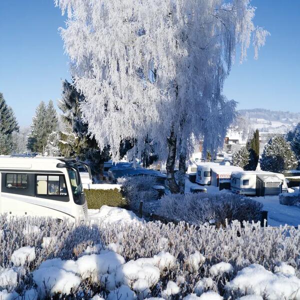 Camping Hopfensee 