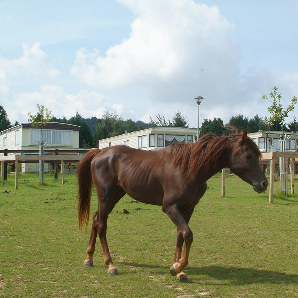 Camping Ypra