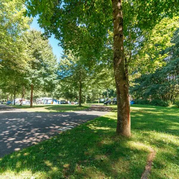 Waldcamping Prüm