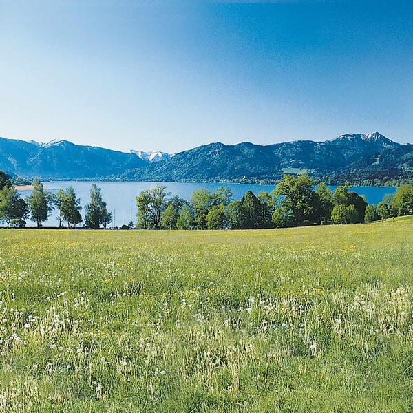 Campingplatz Wallberg am Tegernsee